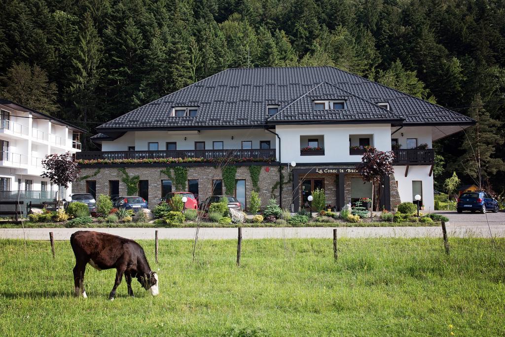 La Conac In Bucovina 호텔 구라후모룰루이 외부 사진